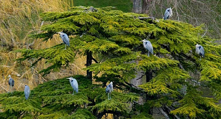 [frontpage_full.jpg]