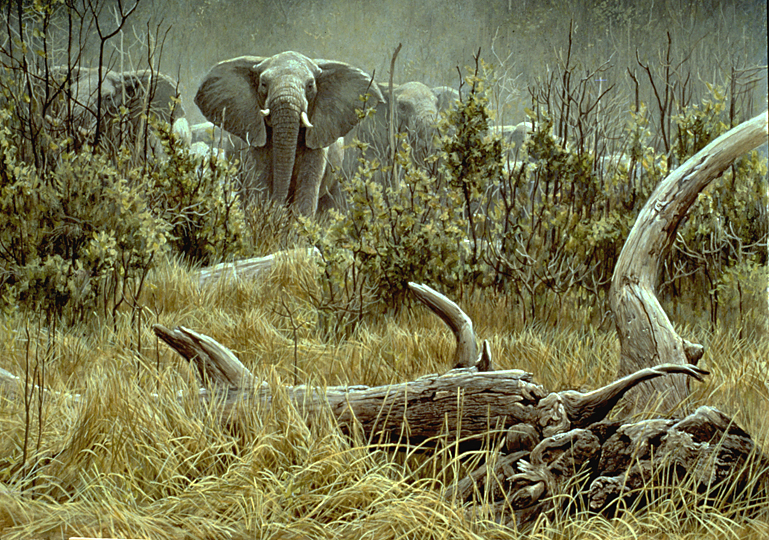 [ElephantHerdLog.jpg]