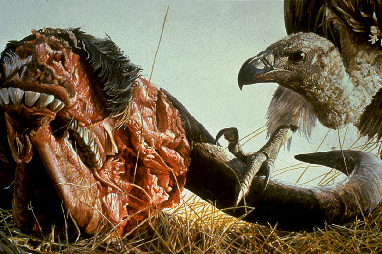 [VultureWildebeest.jpg]