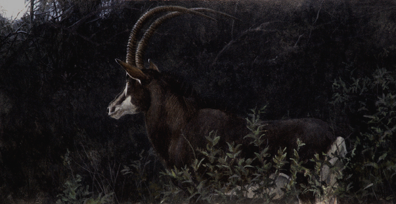 [SableinMoonlight.jpg]