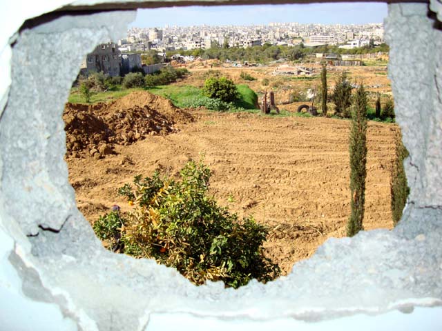 [samir-abed-rabbo25.jpg]