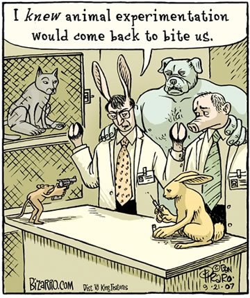 [bizarro-animal-experimentation.jpg]