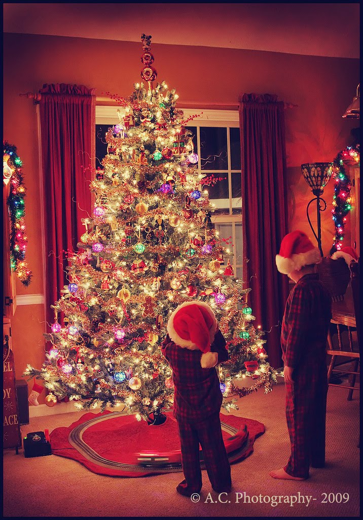 [4121660088_9f1cf0d1b2_b.jpg]