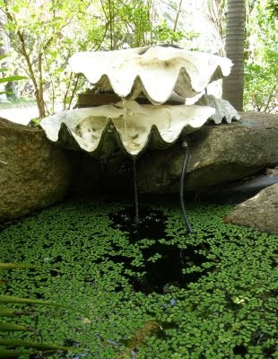 Shell Fountain