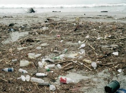 flotsam%2Band%2Bjetsam.jpg