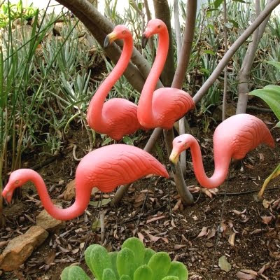 pink flamingos in the garden