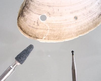 dremel drill bits for shells