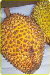 Buah Durian Promasan