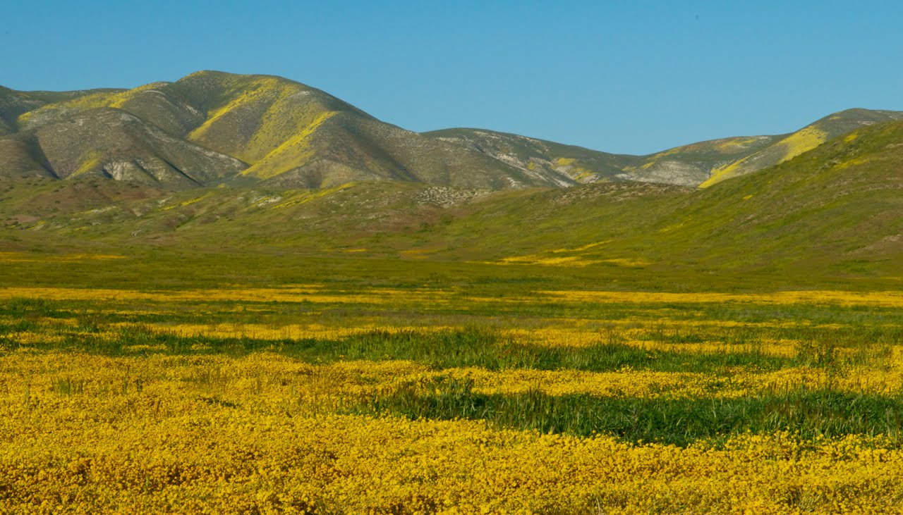 Plain carrizo plane ticket cocktails music good 154k 1280 The Flying Baileys: Carrizo Plain National Monument