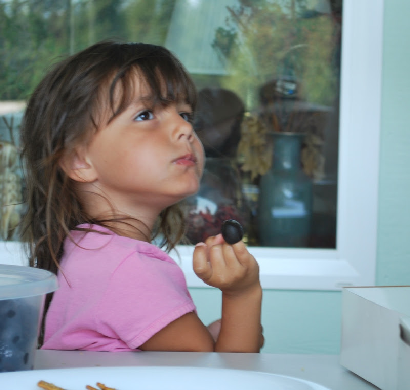 Ways I See the World Wordless Wednesday 080509 The Olive Girl