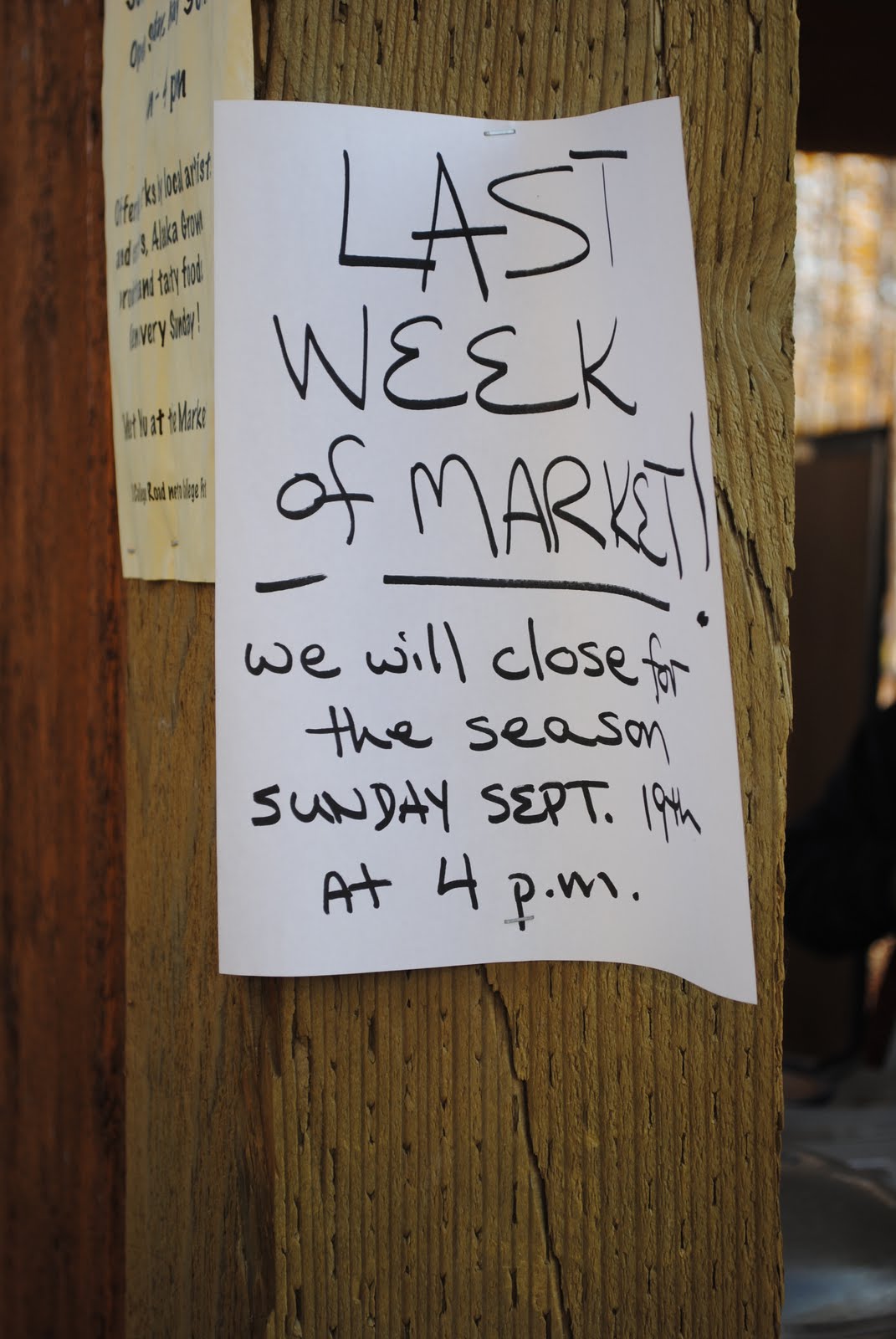A Dragonfly In Alaska Tanana Valley Farmers Market