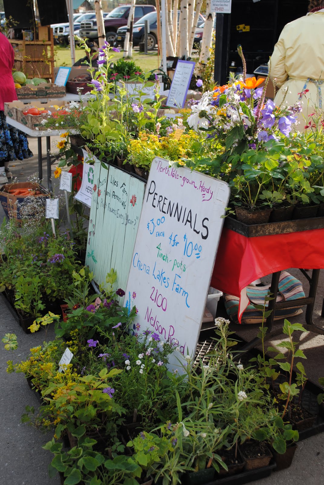 A Dragonfly In Alaska Tanana Valley Farmers Market