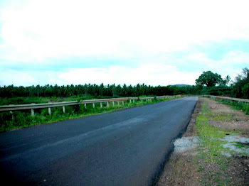 The road to Joes Home Stay