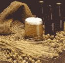 color photograph of beer and its raw ingredients