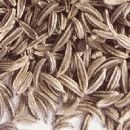 color photograph of carraway seeds