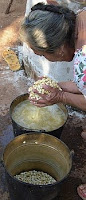 A color photo of a woman washing nixtamal, dried corn kernels that have been cooked and steeped in an alkaline bath.