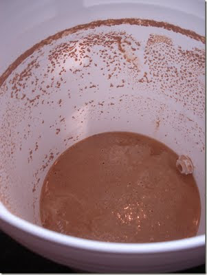 cerveja importada boa