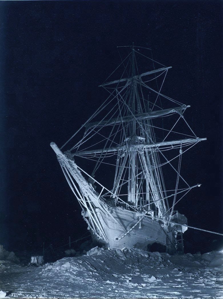 transpress nz the Endurance was an aptly named ship for what transpired