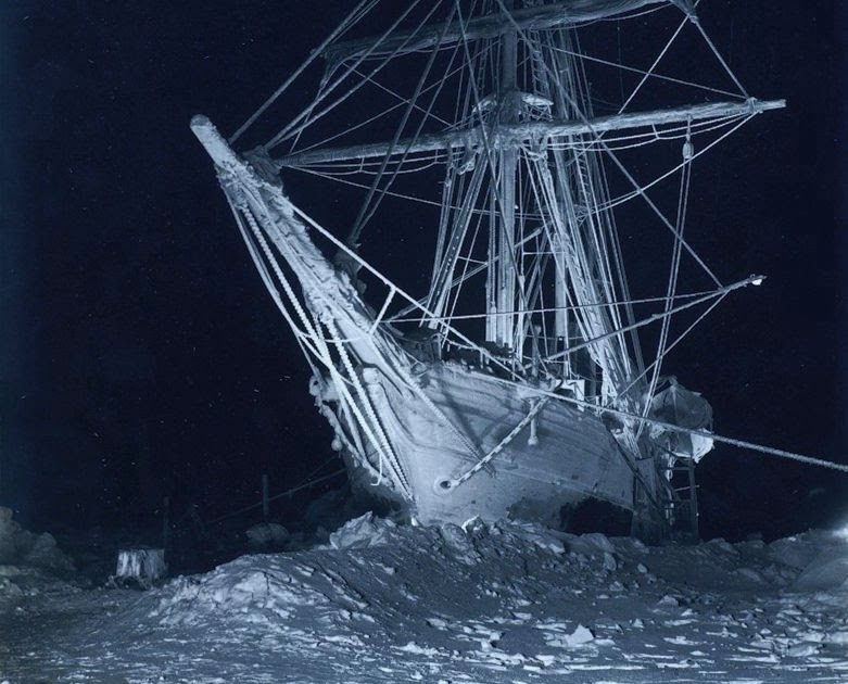 transpress nz the Endurance was an aptly named ship for