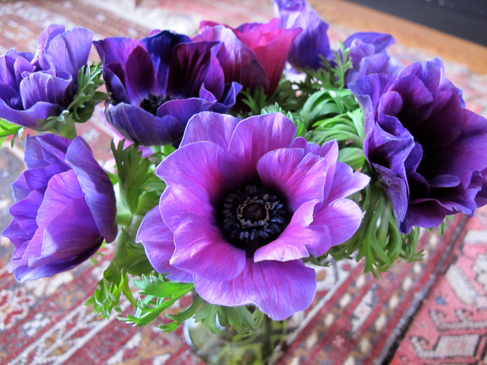 [flower1.jpg]