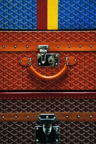 [goyard.jpg]