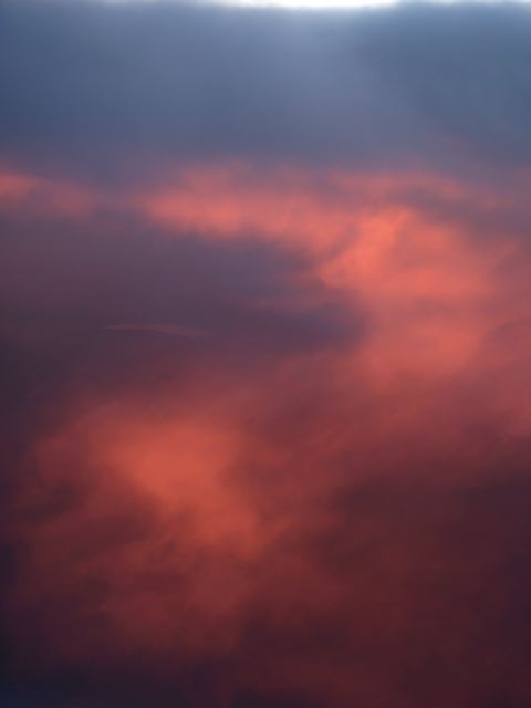[IMG_5293.jpg]