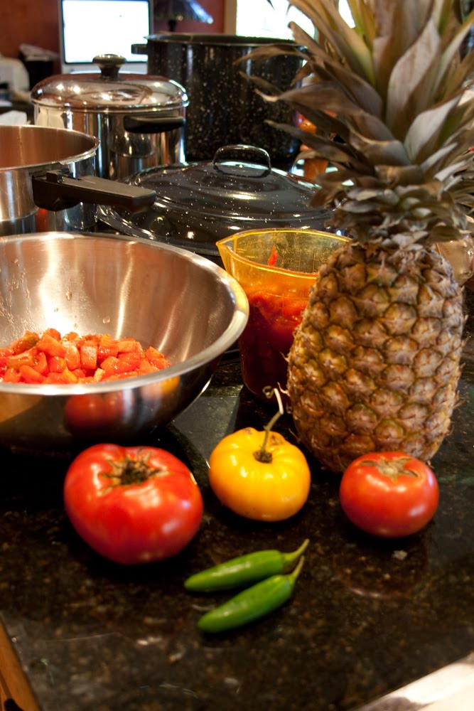 [makingpineapplesalsa_4521.jpg]