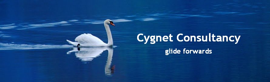 Cygnet Consultancy