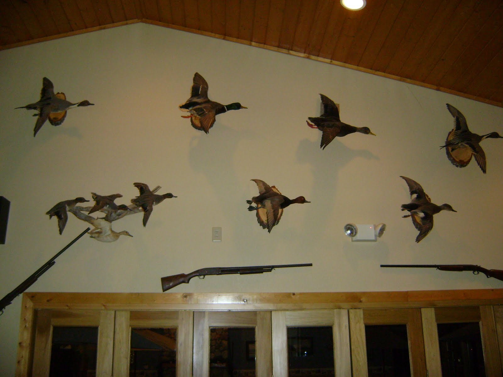 [perch+express+day+3+007.JPG]