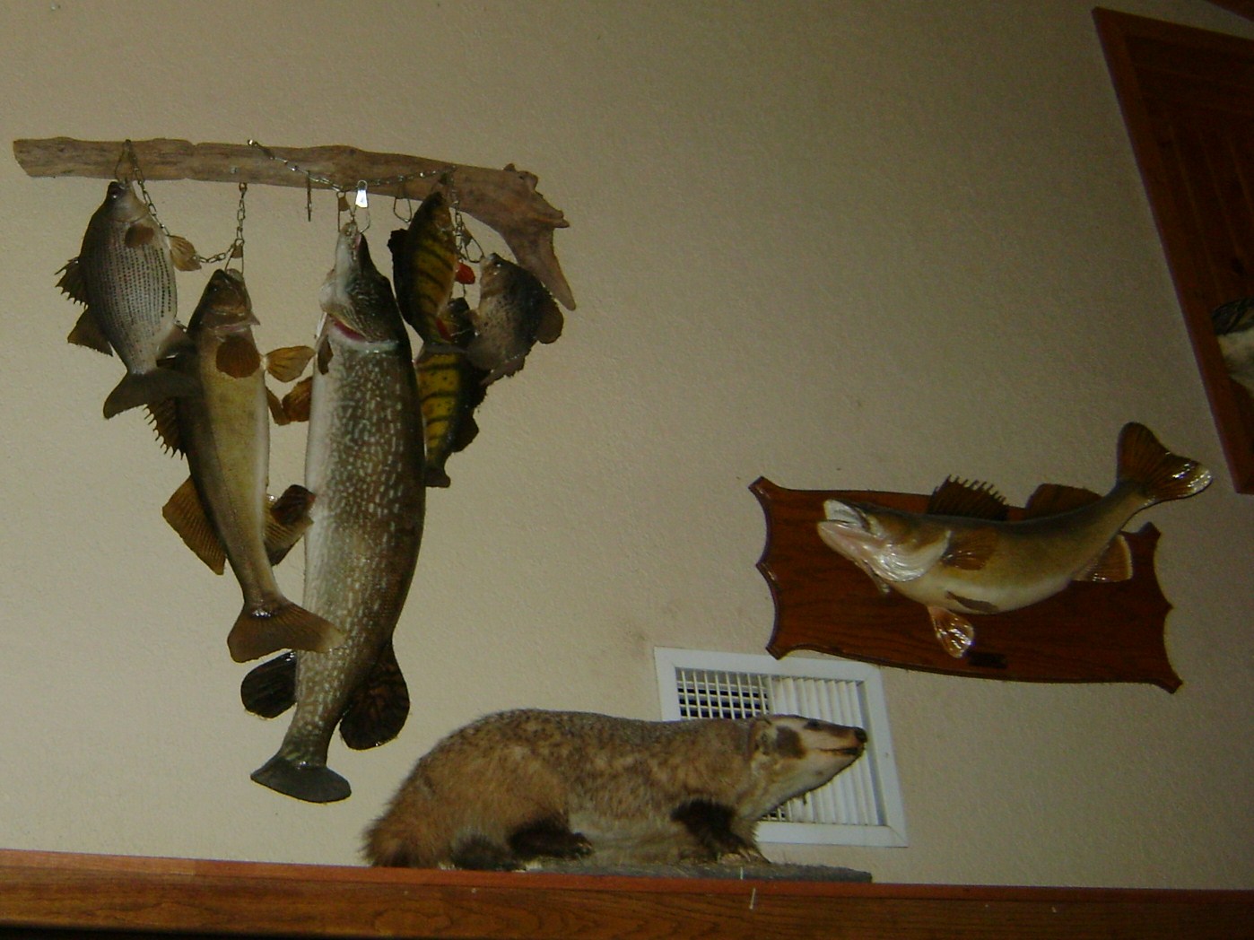 [perch+express+day+3+002.JPG]