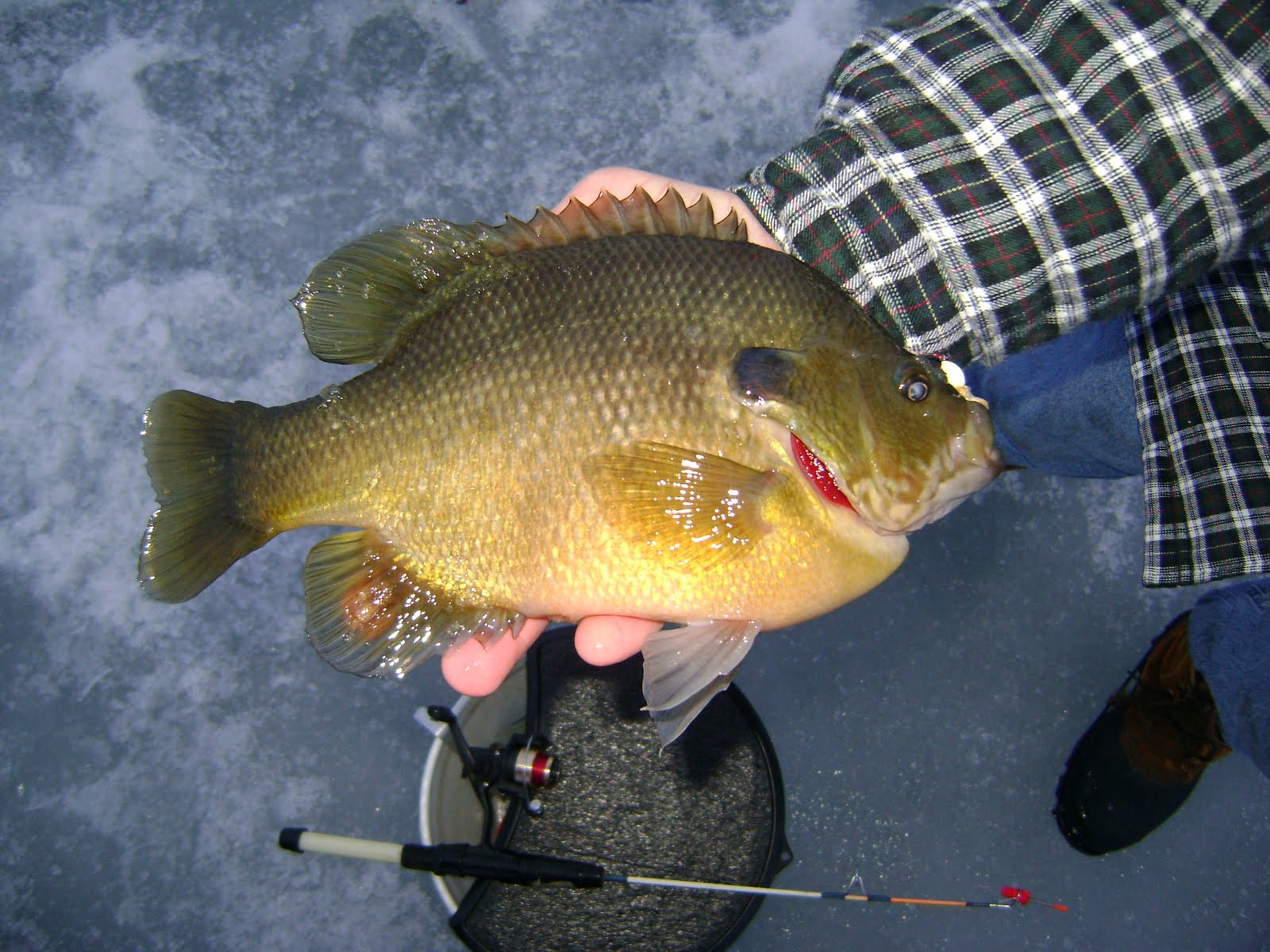 [Graham+Fishing+Trip+060.JPG]