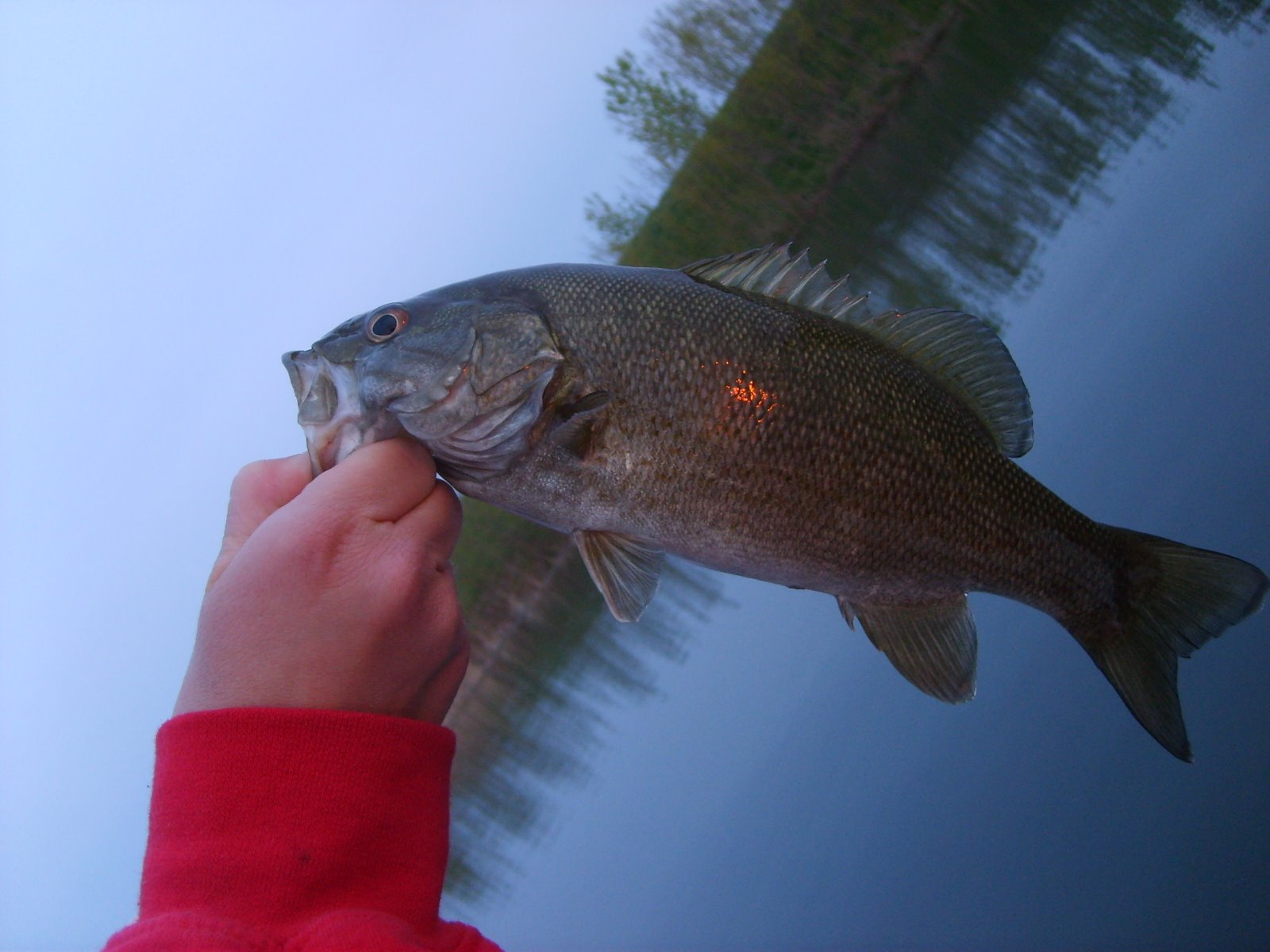 [Fishing+at+the+Lake+029.JPG]