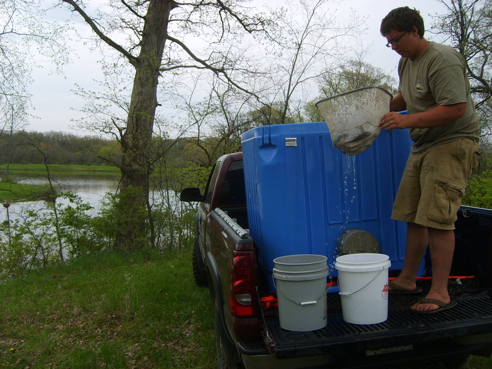 [electrofishing+cobblestone+007.JPG]