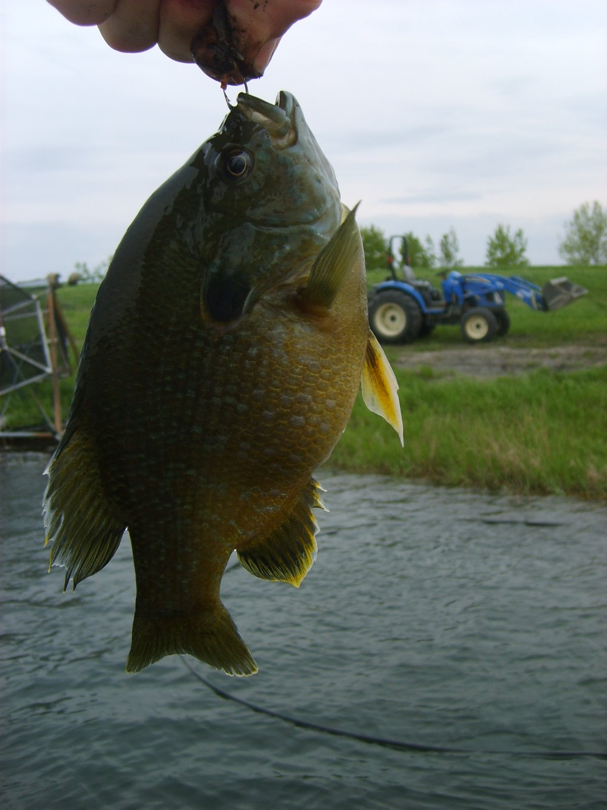 [herman+brothers+fishing+029.JPG]