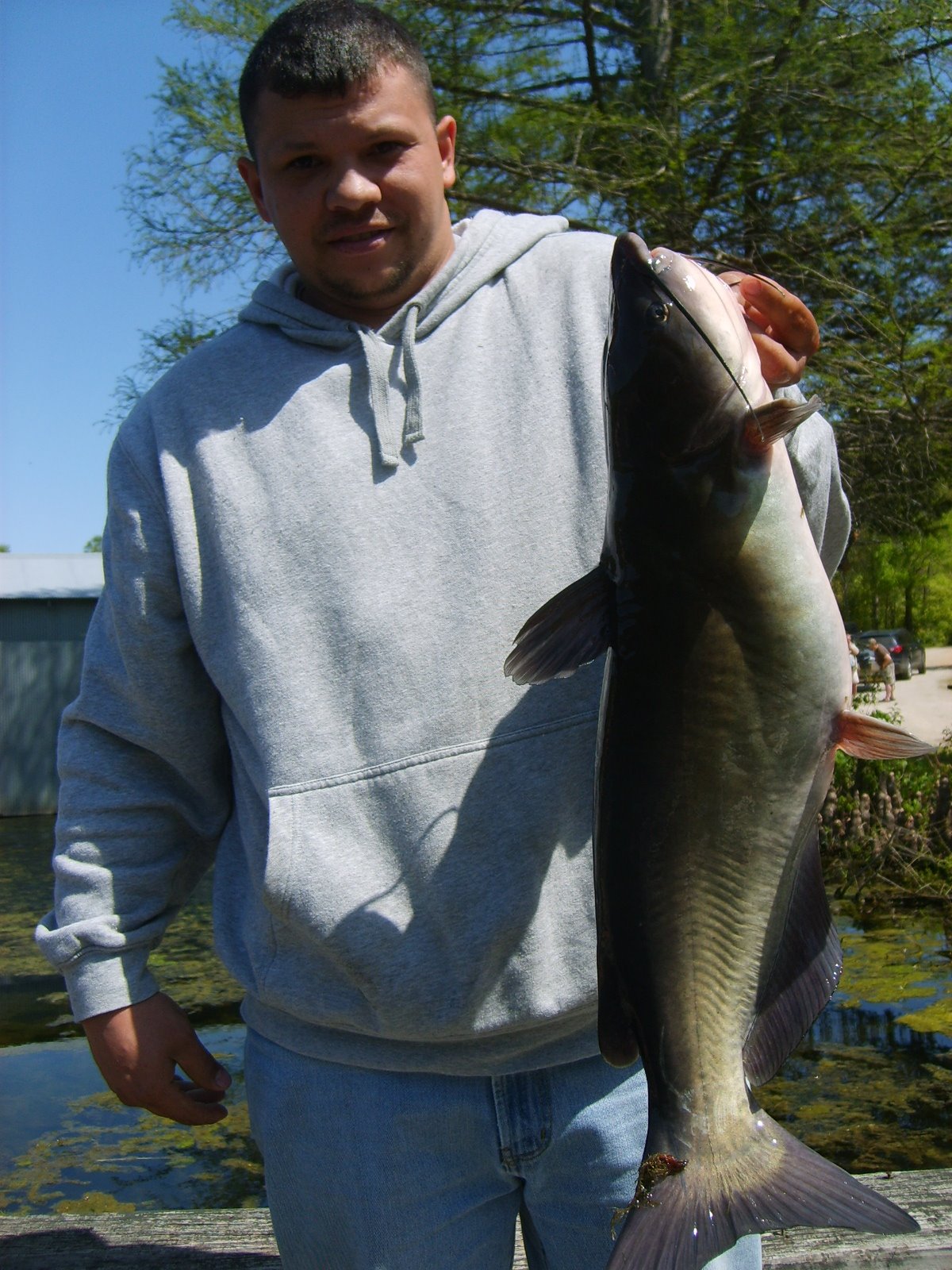 [electro+pond+shocking+pics+012.JPG]