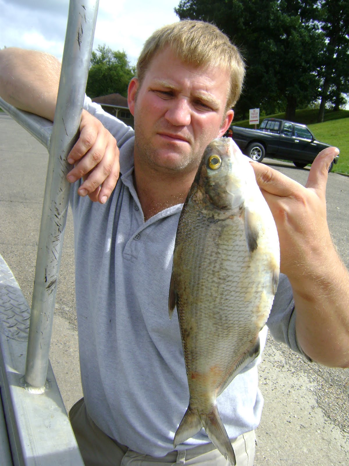 [electrofishing+027.JPG]