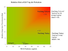 Pollution Death Risk