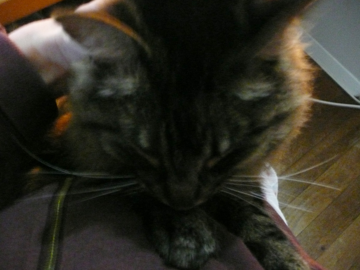 [P1030362.2.jpg]