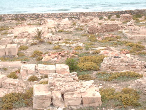 site archéologique à salakta