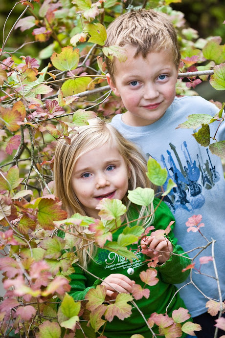 A beautiful picture!