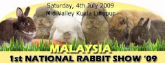 Beh and Yo's rabbit show banner 09