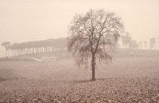 Presencia de espíritu (mi blog de fotos)