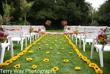 Holly Farm Wedding Photography
