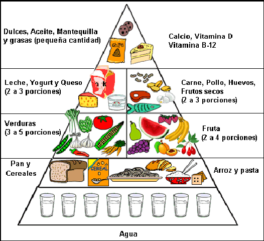 Imagenes de piramides alimenticias - Imagui