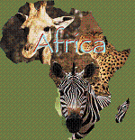 Africa!