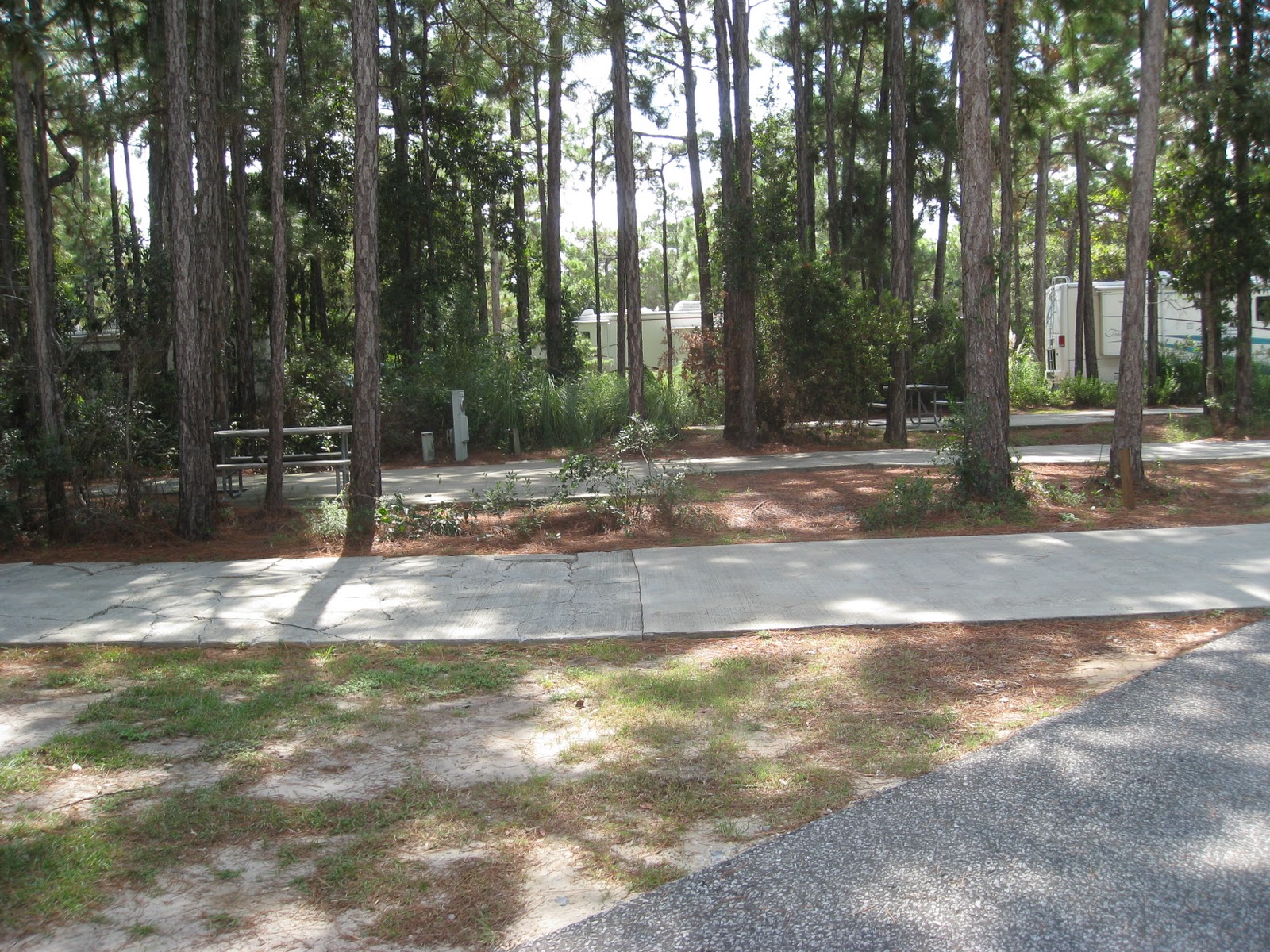 camping info, the stuff you need to know Topsail Hill Preserve State