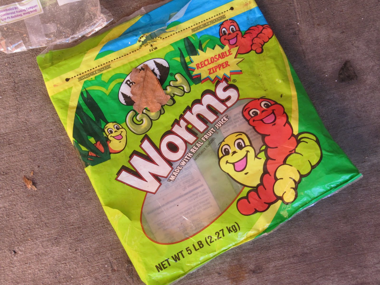 my life on the elist the snapshots worms