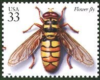 [Virginia+Flower+fly_US+stamp+1999.jpg]