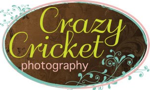 Crazy Cricket Photography