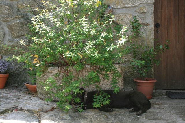 [2008.05.11+1+005.jpg]